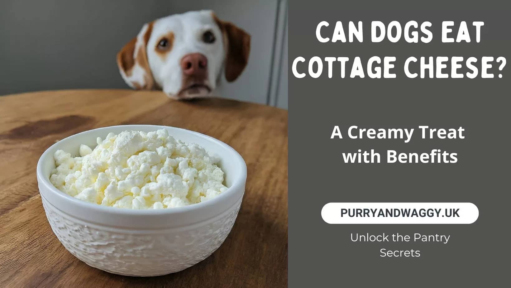 Can dogs eat cottage cheese cheap