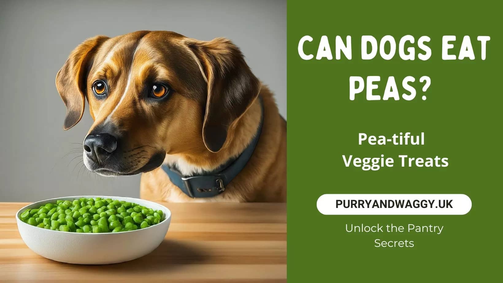 Can Dogs Eat Peas? A Pea-tiful Guide To Safe Veggie Treats